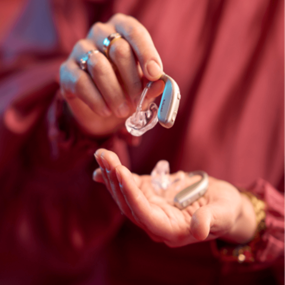 エンツォ手持ち画像